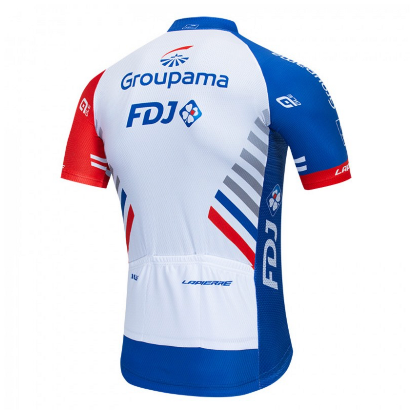 Maillot Classique Vintage Groupama FDJ 2019 (dos) - Vintage Cycling